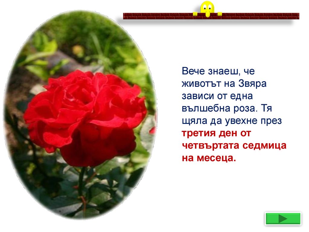 Вече знаеш, че животът на Звяра зависи от една вълшебна роза