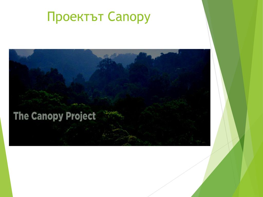 Проектът Canopy