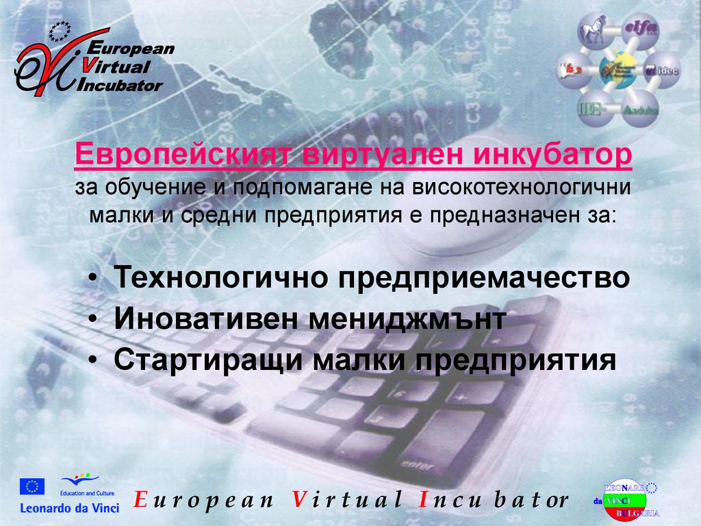 Европейският виртуален инкубатор за обучение и подпомагане на високотехнологични малки и средни предприятия е предназначен за: