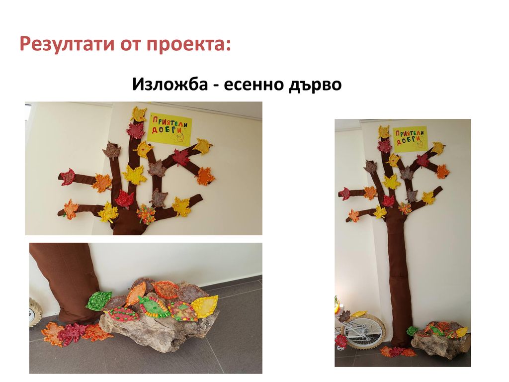 Резултати от проекта: Изложба - есенно дърво