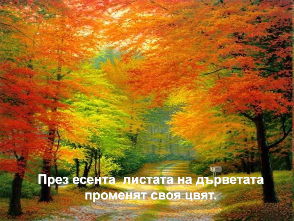 През есента листата на дърветата променят своя цвят.