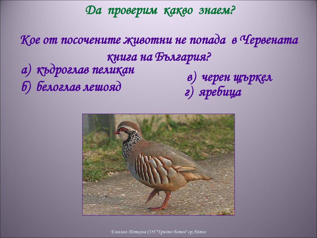 Кое от посочените животни не попада в Червената книга на България