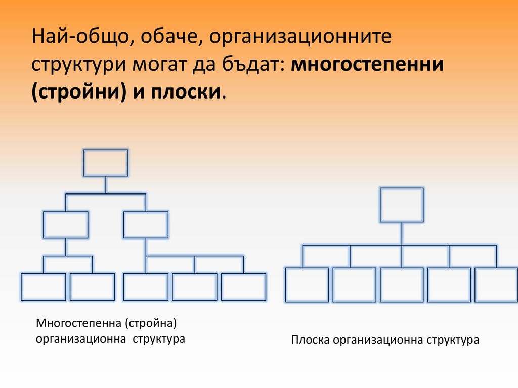 Най-общо, обаче, организационните структури могат да бъдат: многостепенни (стройни) и плоски.