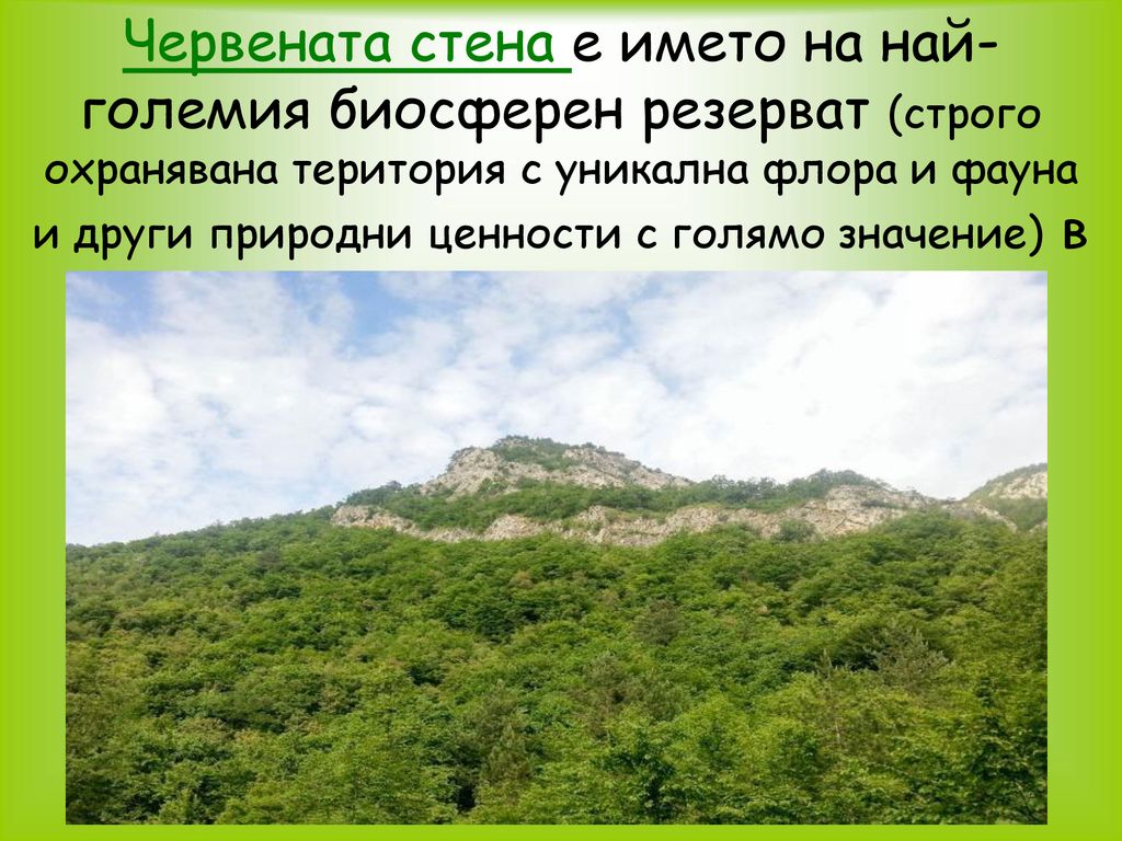 Червената стена е името на най-големия биосферен резерват (строго охранявана територия с уникална флора и фауна и други природни ценности с голямо значение) в Родопите, България.