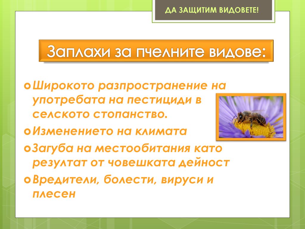 Заплахи за пчелните видове:
