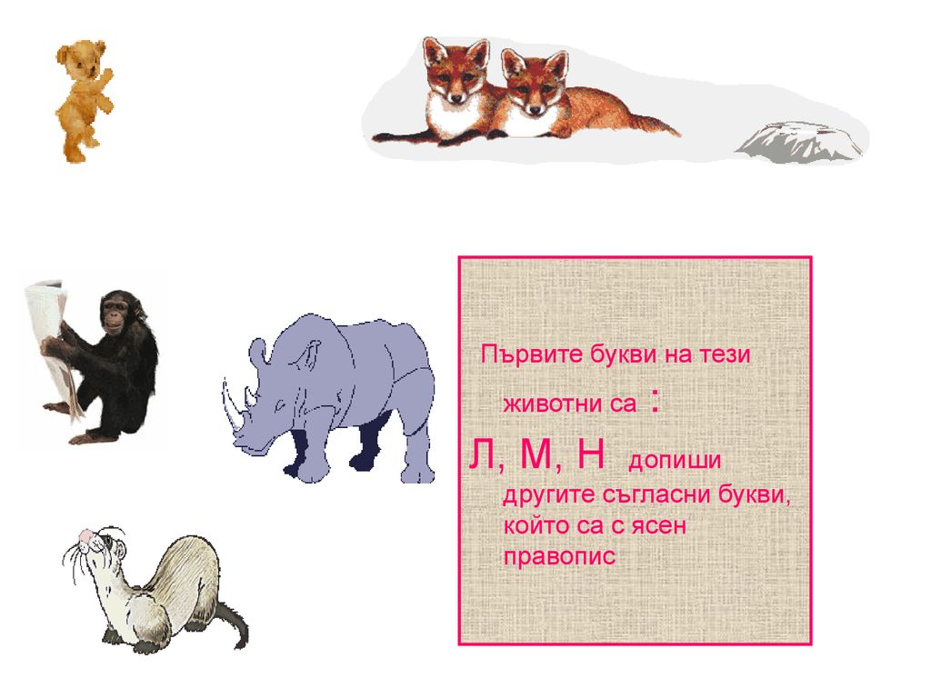 Първите букви на тези животни са :