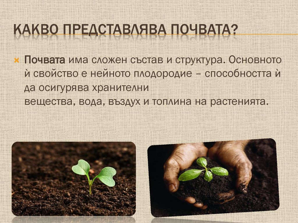 Какво представлява почвата