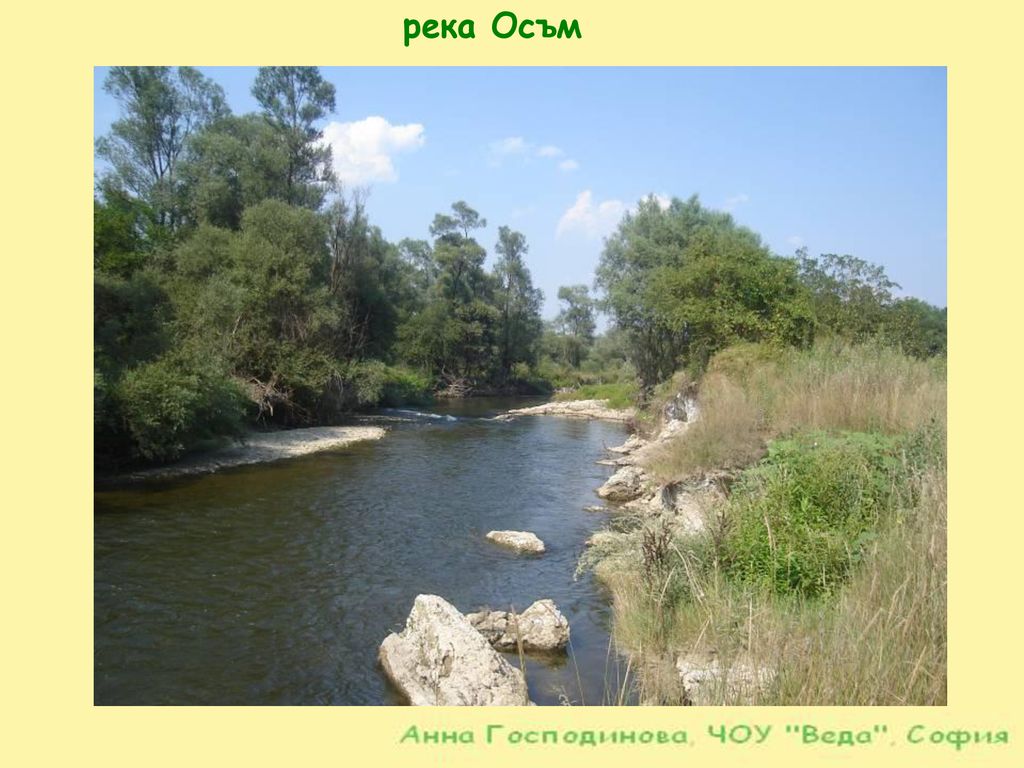 река Осъм