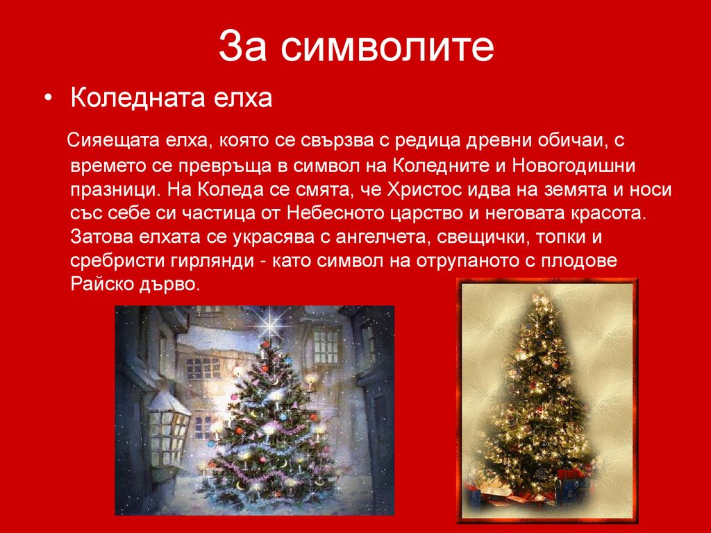 За символите Коледната елха