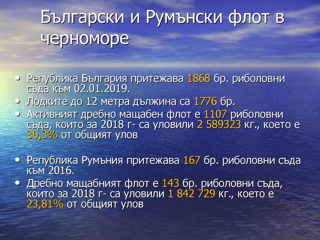 Български и Румънски флот в черноморе